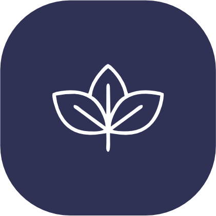 list item image